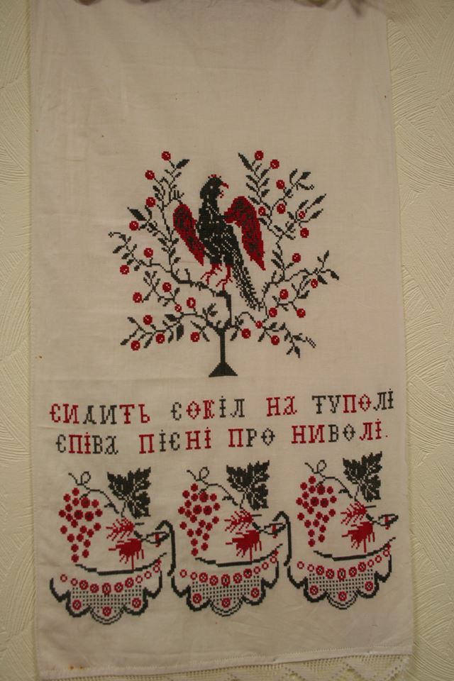 5 СИДИТЬ СОКІЛ НА ТУПОЛІ СПІВА ПІСНІ ПРО НЕВОЛІ